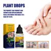 South Moon Plant Drops, Extremities Soft Thickening Light Armour Moist Clean Fingernails Detailer