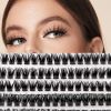 2026 Hot Selling Recommendation: Fairy-like False Eyelashes -  HUICOP Large Capacity Single Cluster False Eyelash Set, Natural, Thick